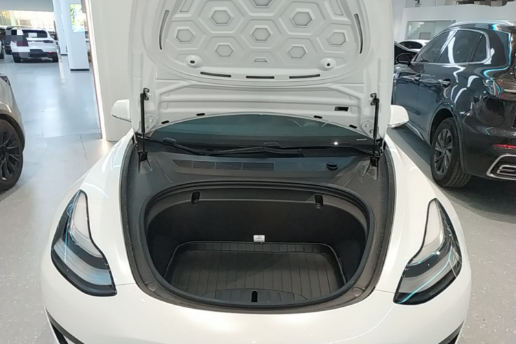 Tesla Model 3 2020 #20 Tesla Model 3 2020 car image #20