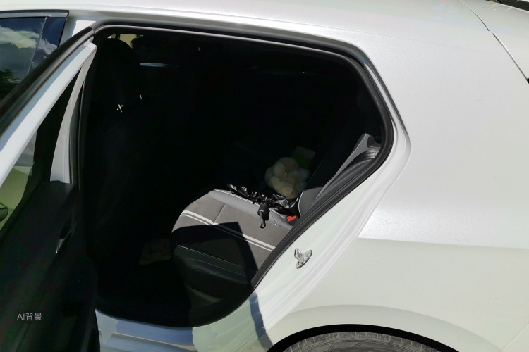 Volkswagen Golf 2022 car image #19