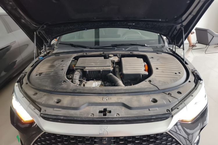 BYD Han 2024 car image #20