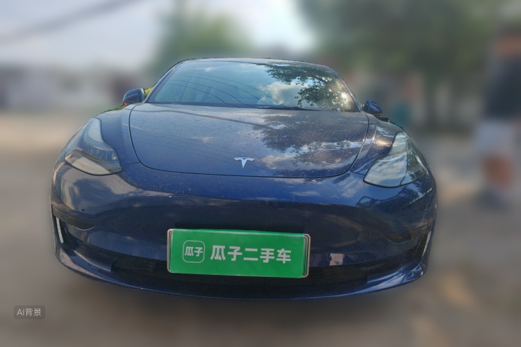 Tesla Model 3 2021 #3 Tesla Model 3 2021 car image #3