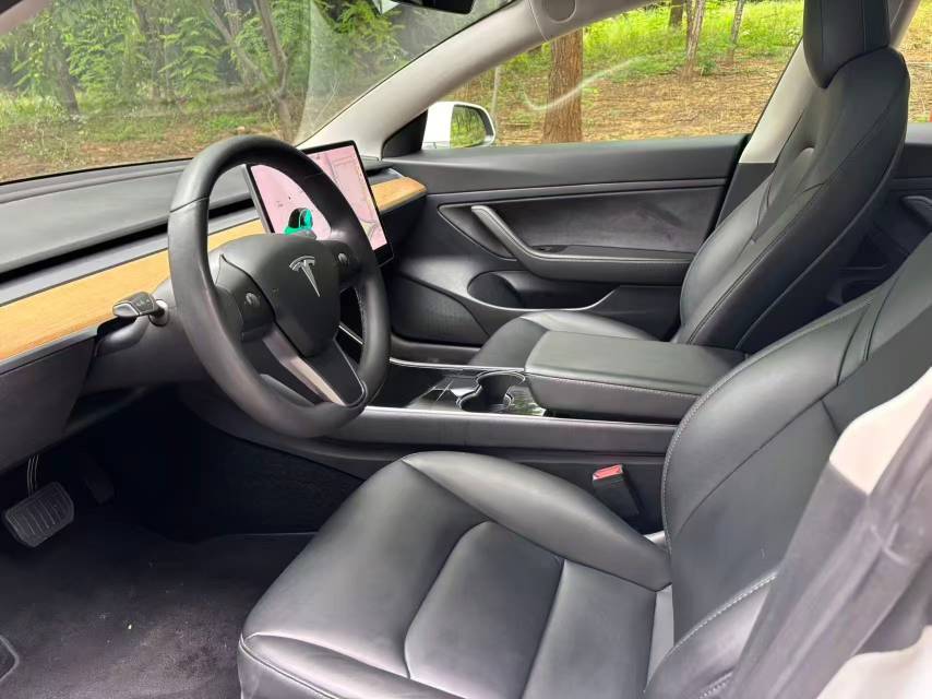 Tesla Model 3 2020 #3 Tesla Model 3 2020 car image #3