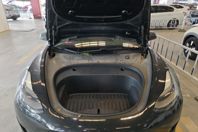Tesla Model 3 2021 #20 Tesla Model 3 2021 car image #20