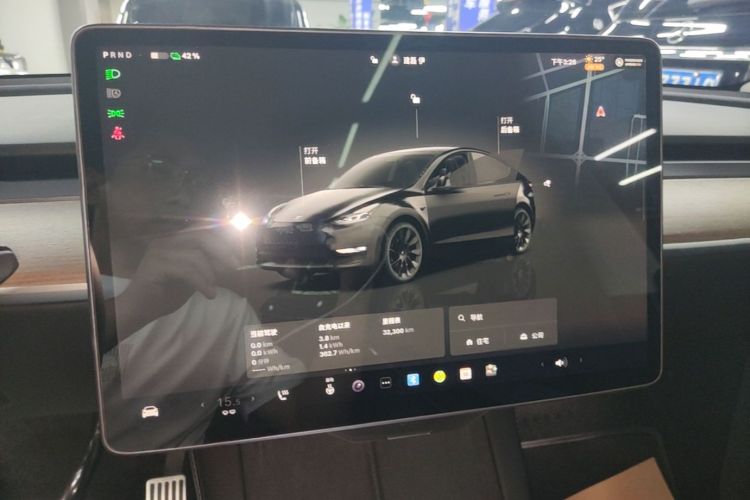 Tesla Model Y 2022 car image #17