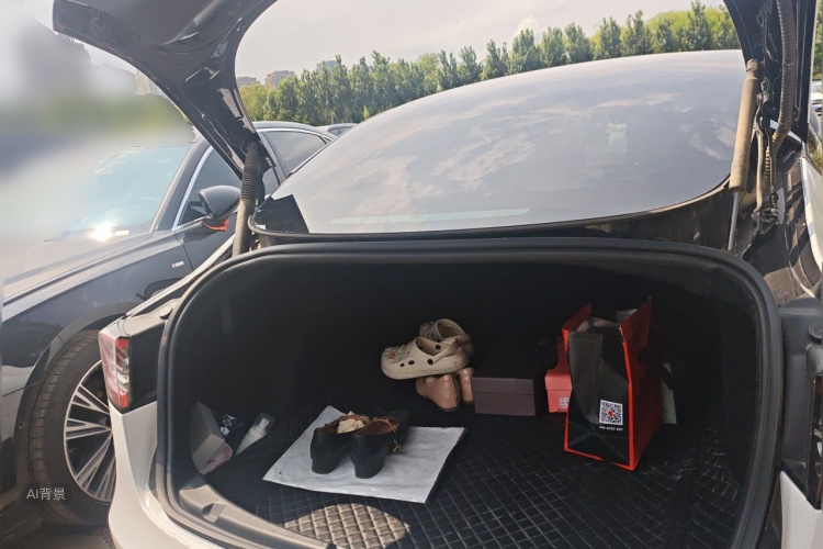 Tesla Model 3 2023 car image #21