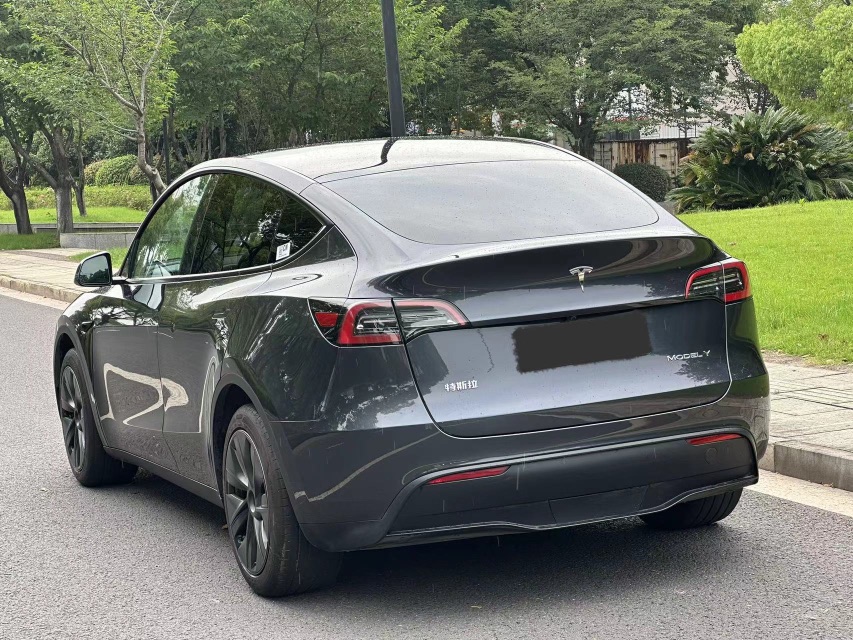 Tesla Model Y 2024 car image #4