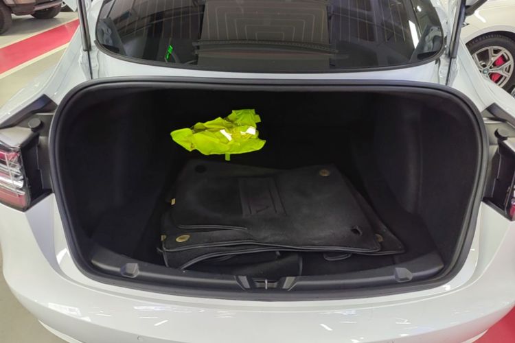 Tesla Model 3 2020 #21 Tesla Model 3 2020 immagine di auto #21