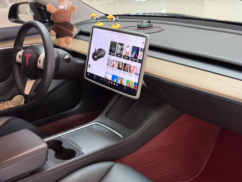 Tesla Model 3 2021 #5 Tesla Model 3 2021 car image #5
