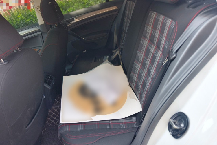 Volkswagen Golf 2016 car image #10