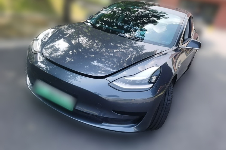 Tesla Model 3 2020 #2 Tesla Model 3 2020 car image #2