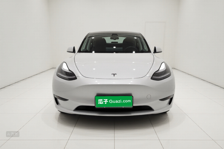 Tesla Model Y 2021 immagine di auto #3