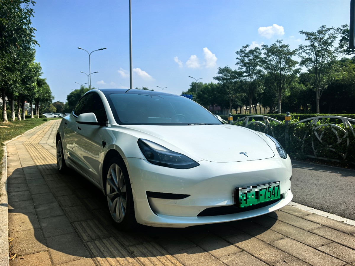 Tesla Model 3 2021 #4 Tesla Model 3 2021 car image #4