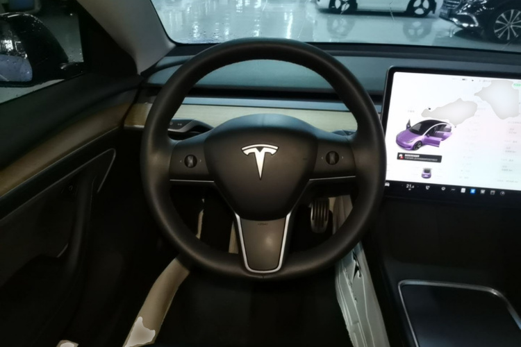 Tesla Model 3 2021 immagine di auto #11