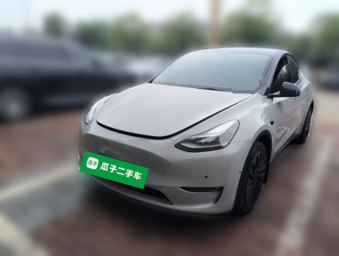 Tesla Model Y 2021 Tesla Model Y 2021 immagine di auto