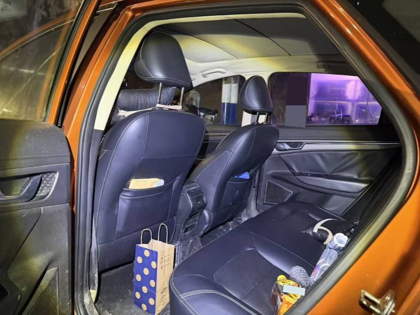GEELY Emgrand GS 2017 imagen de coche #3