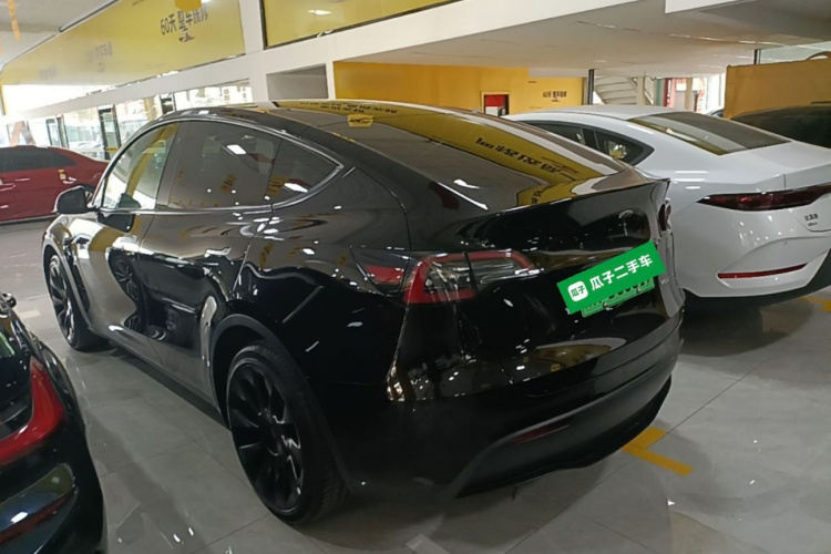 Tesla Model Y 2023 #7 Tesla Model Y 2023 car image #7