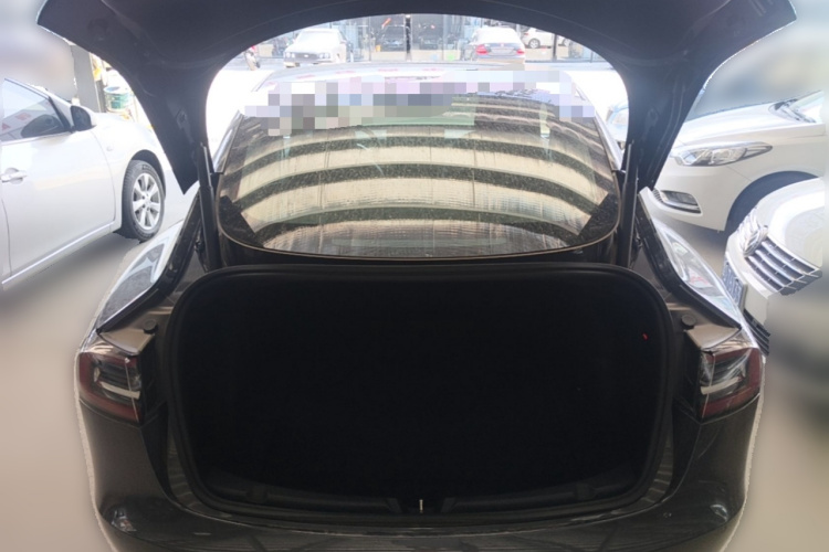 Tesla Model 3 2020 car image #21