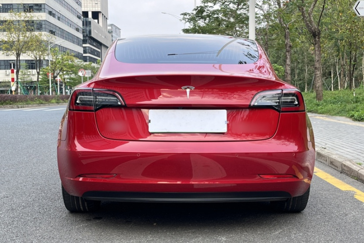 Tesla Model 3 2020 car image #5