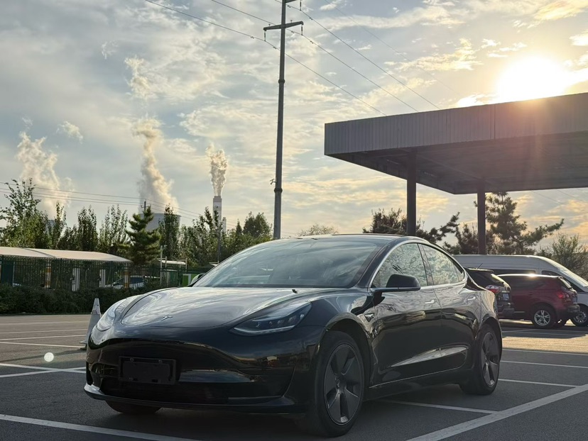 Tesla Model 3 2020 immagine di auto 