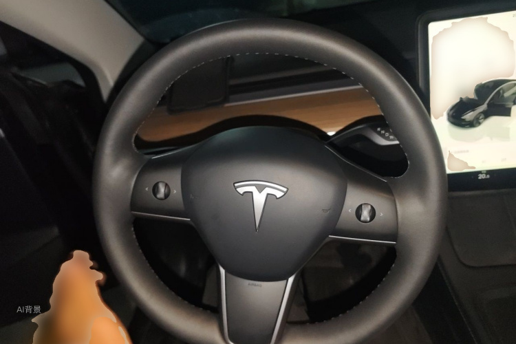 Tesla Model 3 2023 car image #12