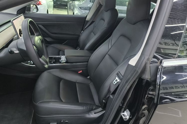 Tesla Model 3 2020 car image #15