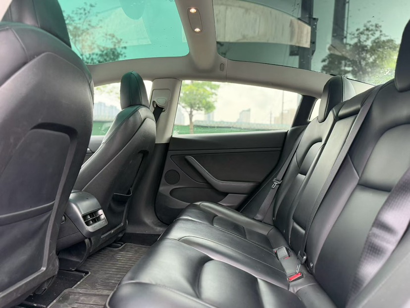 Tesla Model 3 2021 #5 Tesla Model 3 2021 car image #5