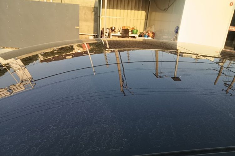 Tesla Model 3 2023 car image #25