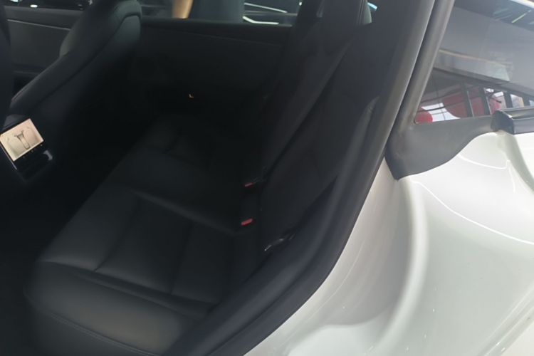 Tesla Model 3 2025 car image #17