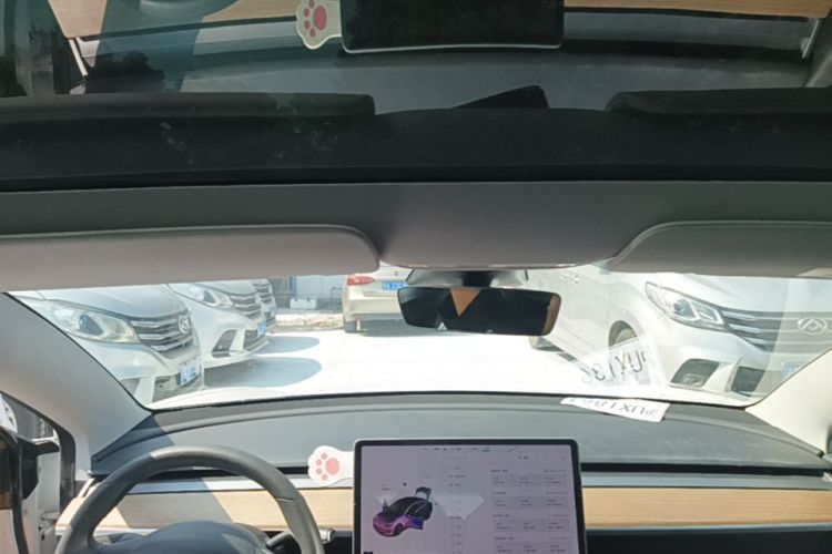 Tesla Model 3 2020 #18 Tesla Model 3 2020 immagine di auto #18
