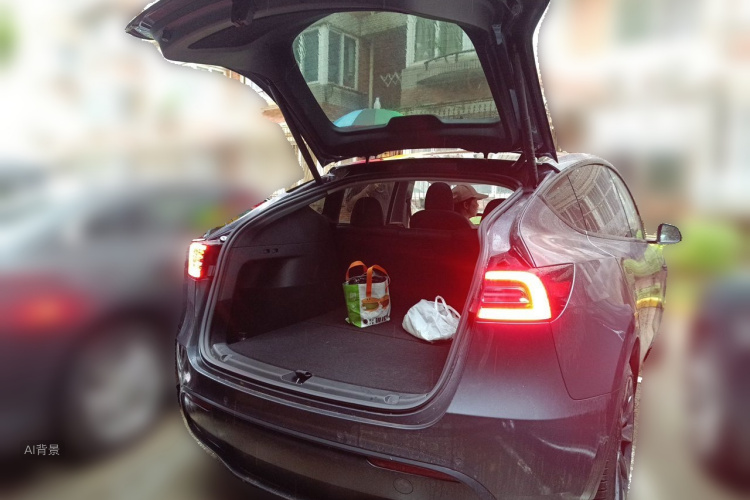Tesla Model Y 2021 #21 Tesla Model Y 2021 car image #21
