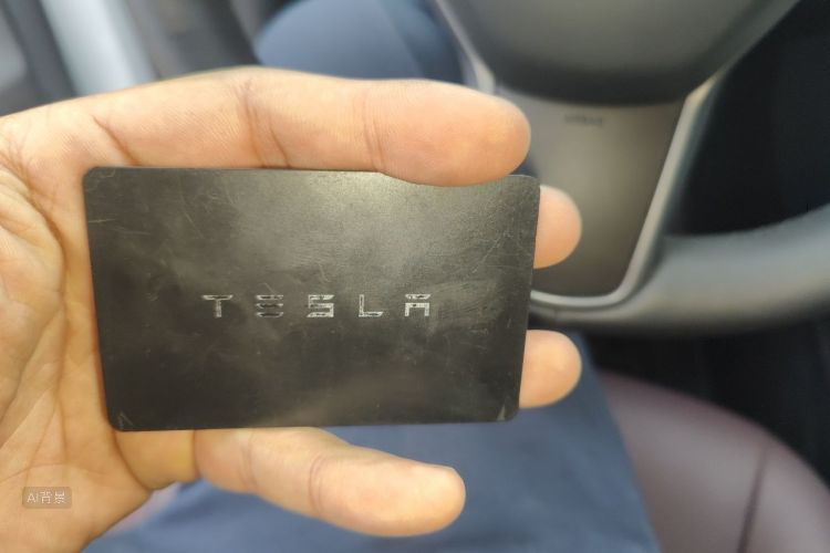 Tesla Model Y 2023 #10 Tesla Model Y 2023 car image #10
