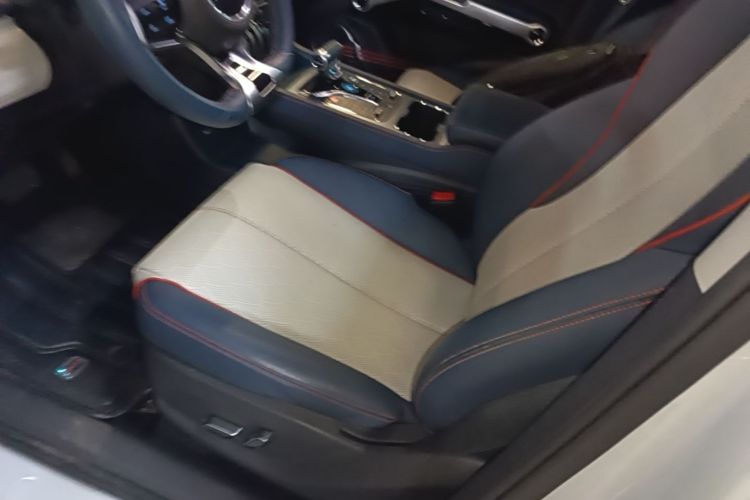 BYD Yuan Plus 2023 #15 BYD Yuan Plus 2023 immagine di auto #15