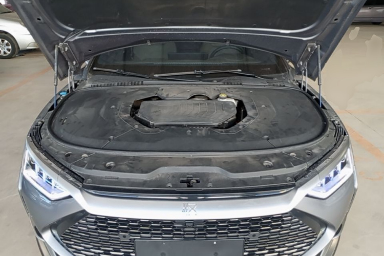 BYD Han 2021 car image #20