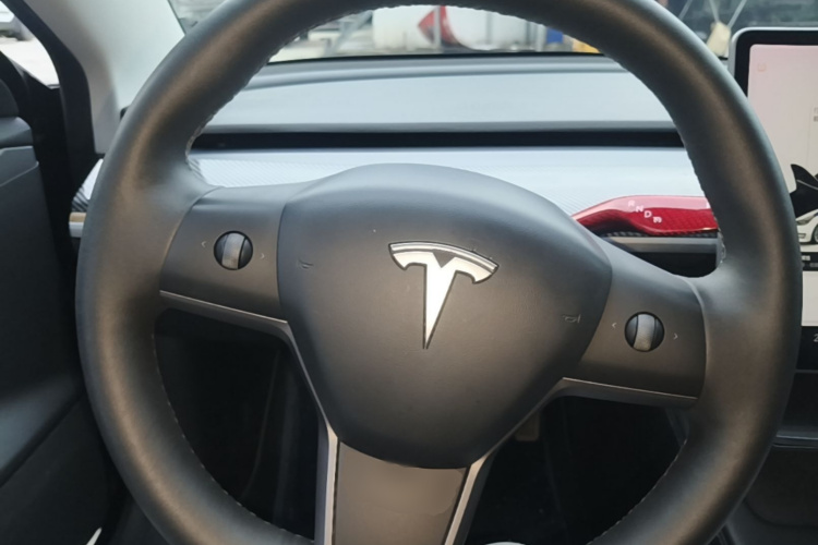 Tesla Model 3 2021 car image #15