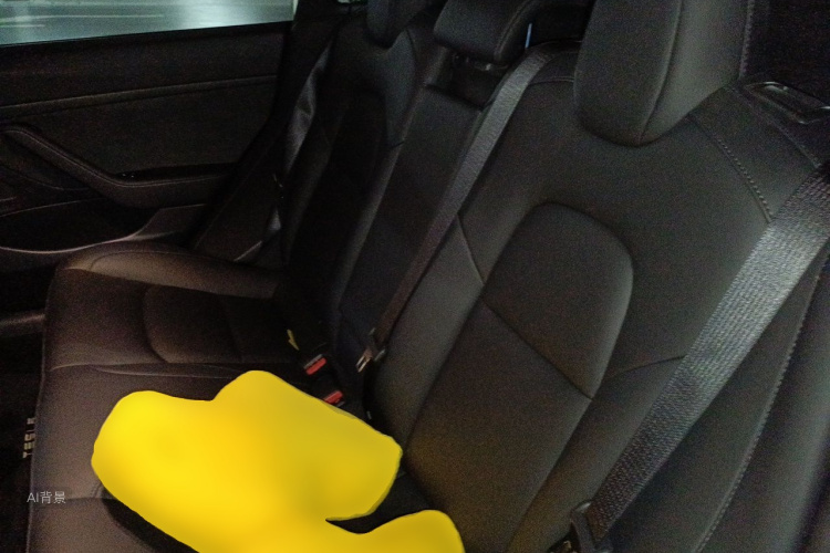 Tesla Model 3 2020 car image #19