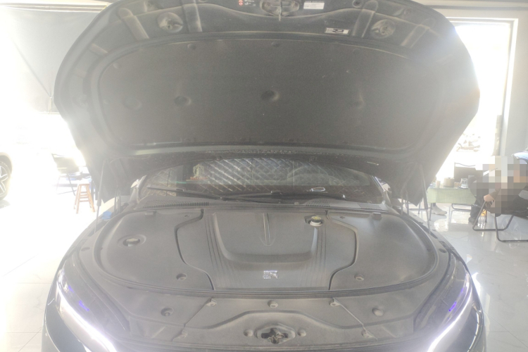 比亚迪 汉 2022 汽车图片 #20