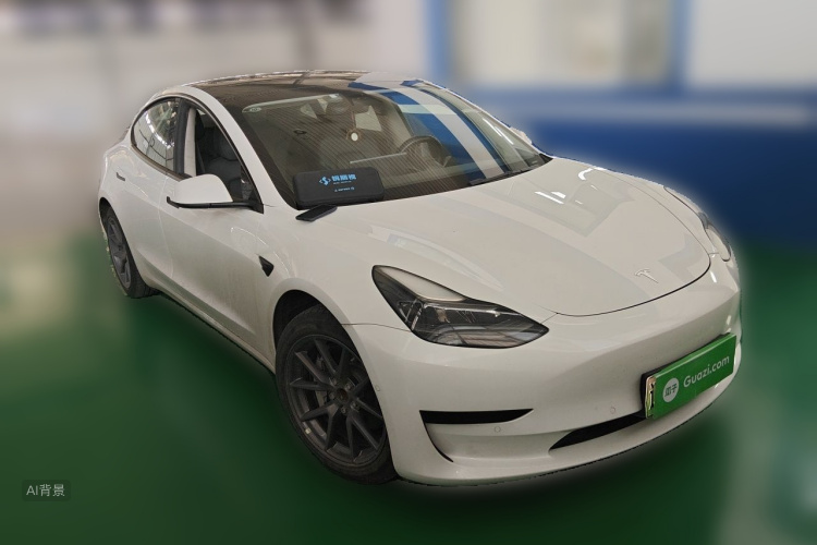 Tesla Model 3 2021 #4 Tesla Model 3 2021 car image #4