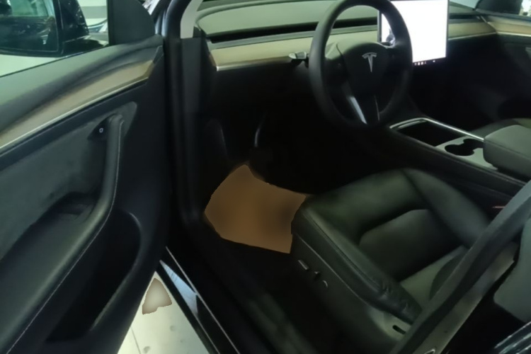 Tesla Model Y 2021 car image #16
