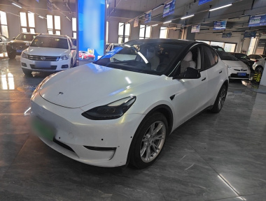 Tesla Model Y 2021 Tesla Model Y 2021 car image