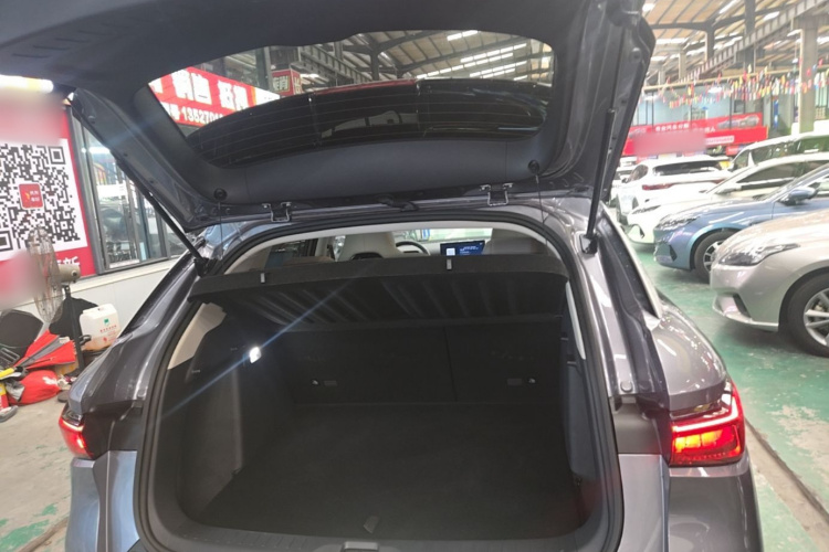 BYD Yuan Plus 2023 #21 BYD Yuan Plus 2023 immagine di auto #21