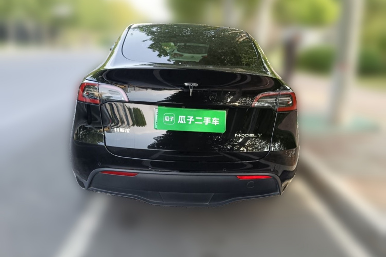 Tesla Model Y 2021 #4 Tesla Model Y 2021 car image #4
