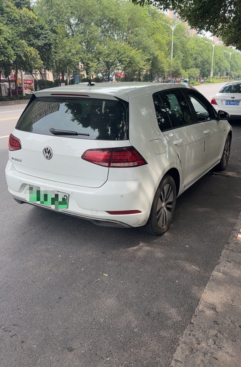 Volkswagen Golf New Energy (Imported) 2020 car image #6