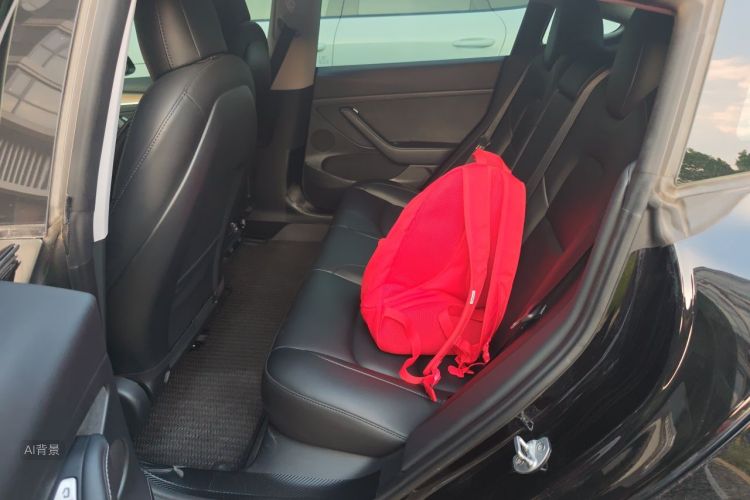 Tesla Model 3 2023 immagine di auto #19