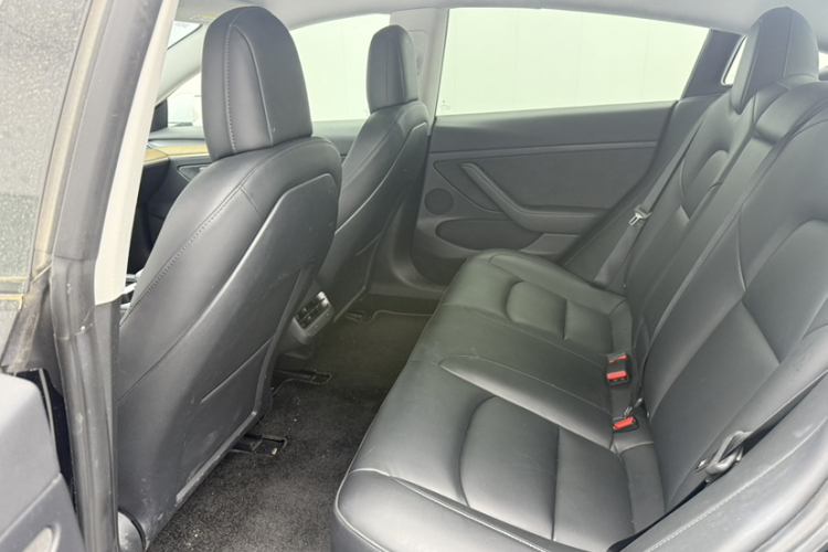 Tesla Model 3 2021 #9 Tesla Model 3 2021 car image #9