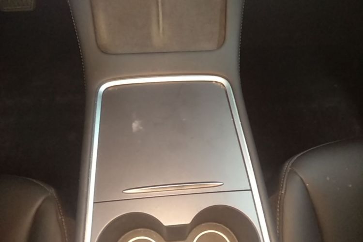 Tesla Model 3 2021 car image #14
