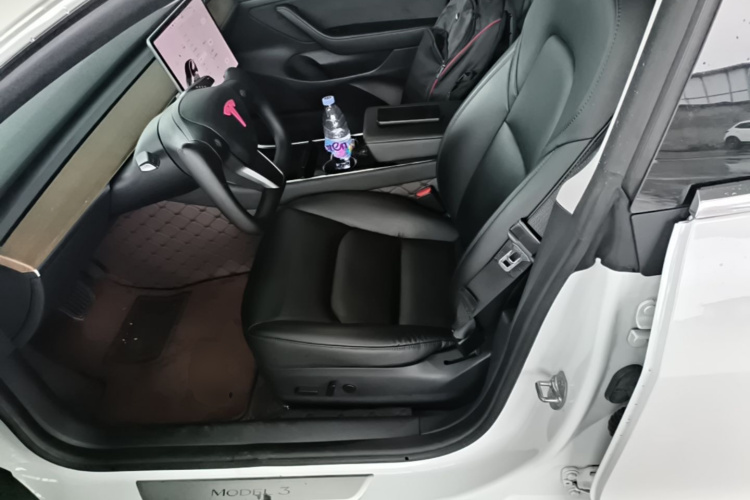 Tesla Model 3 2020 #15 Tesla Model 3 2020 صورة سيارة #15