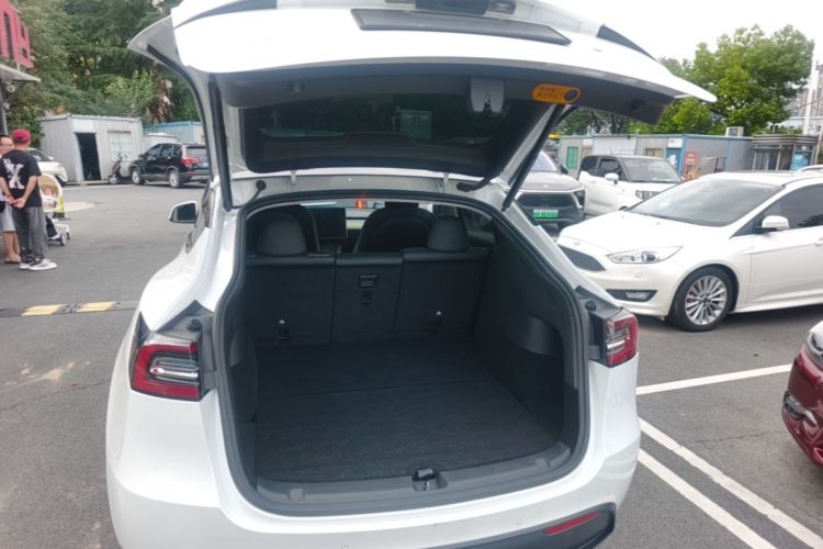 Tesla Model Y 2021 car image #19