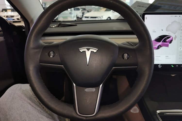 Tesla Model 3 2021 #11 Tesla Model 3 2021 car image #11