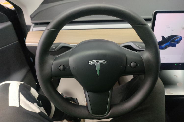 Tesla Model 3 2020 immagine di auto #11
