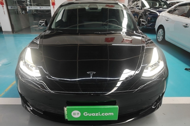 Tesla Model 3 2023 #3 Tesla Model 3 2023 car image #3