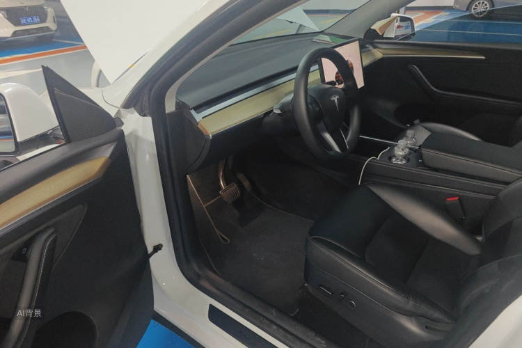 Tesla Model Y 2023 car image #18